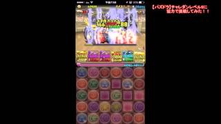 【パズドラ】チャレダン9（協力）に挑戦してみたぞぉぉぉぉぉ【ゆっくり実況】