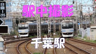 千葉駅で撮ってみた！総武本線、成田線と内房、外房線の分岐駅の千葉駅です。キャストは、成田エクスプレスE259系、新宿さざなみ号E257系、しおさい号255系、E217系、209系、E213系