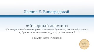 Лекция «Северный жасмин»