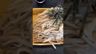 舟盛りの蕎麦スクロール Scrolling Boatload of Soba Noodles #Shorts