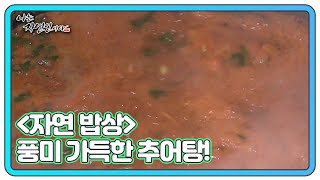 ＜자연 밥상＞ 구수하고 진한 풍미 가득~한 추어탕의 맛은?! MBN 221207 방송