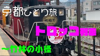 京都vlog【天龍寺→トロッコ列車→大河内山荘庭園→竹林の小径】