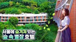 서울에 숲 속 별장같은 호텔이 있다고?🍃워커힐 더글라스 하우스(Douglas House)