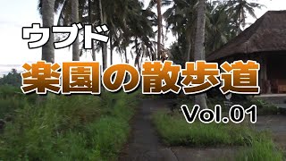 【田舎道散歩】ウブド・楽園の散歩道を歩いてみたら・・・驚きの！(Vol.01)