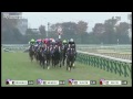 japan cup 2016 kitasan black