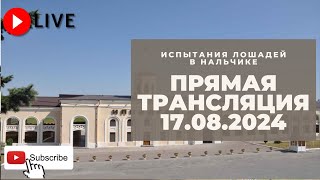 17.08.2024: Прямая трансляция из Нальчика.