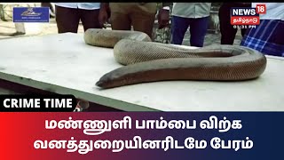 Crime Time | மண்ணுளி பாம்பை விற்க வனத்துறையினரிடமே பேரம் பேசிய கும்பல்