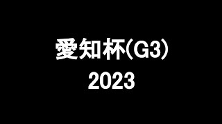 中央競馬予想 〜愛知杯(G3)【中京11R】〜 2023/01/14