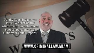 # 378) Are there different types of Warrants? #HaberPA Miami Criminal Defense Lawyer Michael Haber