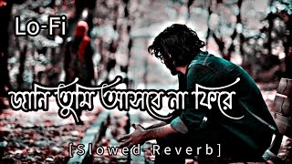 Jani Tumi Asbena Fire - জানি তুমি (slowed & reverb) Bangla Lofi Songs | Jani Tumi || Music Lover 🎵