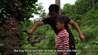 Alder based Jhum Cultivation by Pelevizo \u0026 Thejavikho Chase