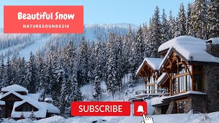 Snow Video | Relaxing Calm music | Peaceful Snow video