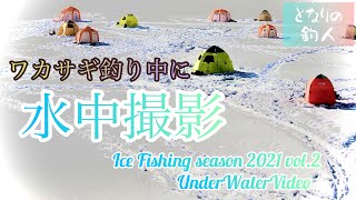 【水中映像】 ワカサギ釣りをしている氷の下はどうなっているのか… Ice fishing \u0026 underwater video in HOKKAIDO