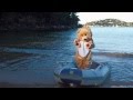 Edward Deer - Washed Ashore [Official Video]