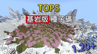 minecraft 麥塊 基岩版 top 5 推薦種子碼！1.20+