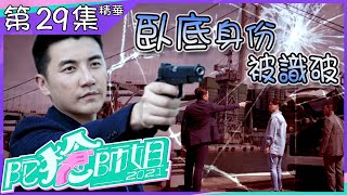 【陀槍師姐2021】第29集精華 臥底身份被識破｜羅子溢｜洪永城