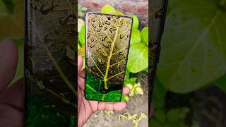 Vivo t2 pro 5g || camera review #shorts #ytshorts