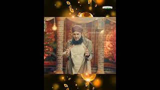 Muj Ko Husain Pak Bara Hi Pasand Hai | Hafiz Tahir Qadri New Whatsapp Status | 10 Muharram Status