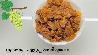 🍇ഉണക്ക മുന്തിരി ഉണ്ടാക്കാൻ ഇത്രയും എളുപ്പമായിരുന്നോ | Unakka Munthiri | Dry Grapes #ഉണക്കമുന്തിരി