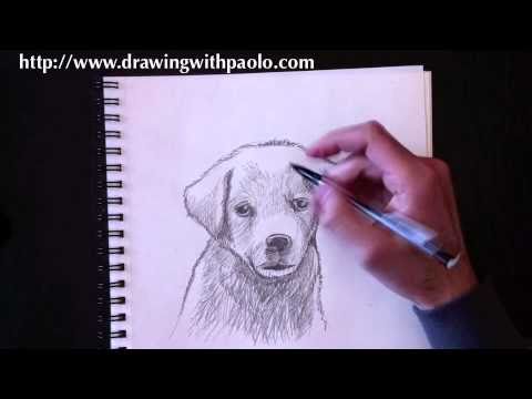 Lær at tegne: Lær tegne en hund