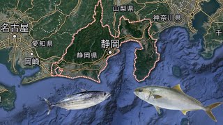 本当は教えたくない！静岡県の釣り場ランキングTOP3