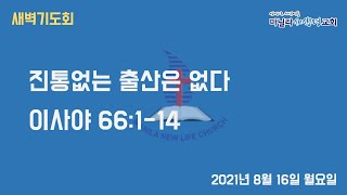 마닐라새생명교회_새벽기도회_8월16일_월요일