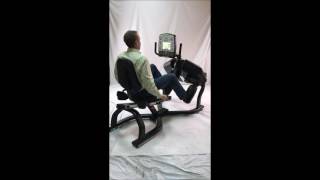Helix Recumbent Lateral Trainer