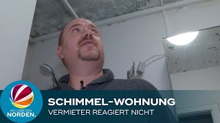 Leben in einer Schimmelwohnung – und der Vermieter reagiert nicht