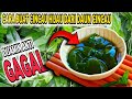 Cara buat CINCAU hijau dari daun CINCAU  !! Dijamin Anti Gagal Bisa Bikin Dirumah Sendiri