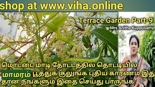 Terrace Garden-9 | Home made Fertilizer | செடிகள்  உரத்தை வீட்டிலேயே தயாரிக்கலாம் | Anitha Kuppusamy