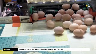 Une distribution gratuite d'œufs sur le Barachois