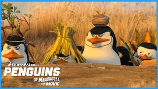 Penguins Hatch a Plan 🧠 | Penguins of Madagascar | DreamWorks Madagascar