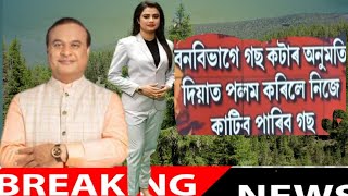 Assamese news today/11 December Assamese news/ today Assamese news/আপোনালোকে নিজৰ গছ  কাটিব পাৰিব।