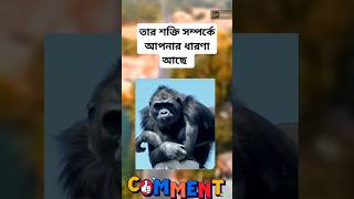 আসুন আমরা প্রাণীদের ভালবাসি ❤️❤️Viral Short #viral2025 #trending #shorts #funny #bollywood