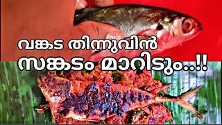 വങ്കട പൊള്ളിച്ചത് പൊളിയാണ് | vankada fish | mankada fish | meen pollichath | fish cutting | fish