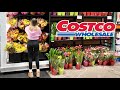 mis compras en ✨costco✨ *VLOG*