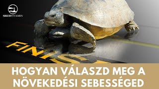 🥇 Siker titka: Hogyan válaszd meg a növekedési sebességed, hogy elérd egyszer a célod?