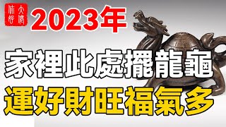 2023年龍龜擺放風水禁忌！正確使用化煞鎮宅、招財、聚財、長壽，但是這幾種人千萬不能使用！#大佬你好啊