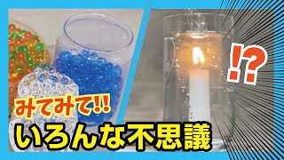 【実験】今すぐできる簡単実験♪いろんな不思議【簡単自由研究】#不思議＃ぷるぷるボール＃消えない炎