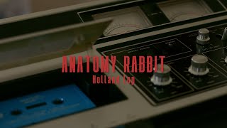 ANATOMY RABBIT - Holland Lop (SideB) (Tape Play)