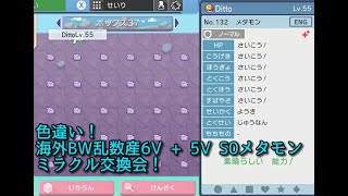 【BW乱数産海外色違い6Vメタモン \u0026 5V S0メタモン配布！】ポケモンBDSP GMStation ミラクル交換会 #ポケモン交換 #ポケモン配布 #6vメタモン #海外産メタモン