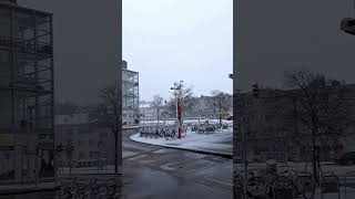 Endlich: 1. Schneefall 2023 in Wien - 22. 01.