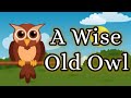 A Wise Old Owl Nursery Rhymes|Popular Nursery Rhymes|Best Song for kids @S&D Teacher