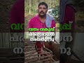 വയനാട് മൂടക്കൊല്ലിയിൽ വീണ്ടും കടുവ എത്തിയെന്ന് സൂചന wayanad tiger