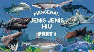 Ada Megalodon Sang Monster Lautan! Mengenal Jenis- Jenis Hiu Part 1