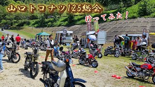 【4MINIミーティング】山口トコナツ125総会に行ってみた‼#4miniカスタム