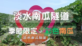 【淡水南瓜隧道】5月底前開放免費自由參觀 淡水「彩色南瓜隧道」淡水季節限定景點 親子旅遊景點