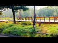 【4k hdr】日比谷公園を散歩 hibiya park tokyo japan walk