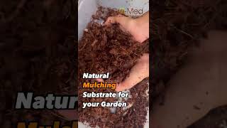 Natural Mulching Substrate for Your Garden