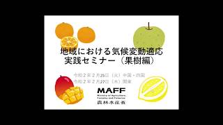 01 気候変動適応の推進について（令和元年度 地域における気候変動適応実践セミナー(果樹編)）